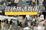 金毛犬打疫苗的必要性与作用（了解金毛犬疫苗种类及保护效果，助您为宠物提供全面的免疫保护）