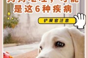 狗狗突然哑然失声，可能是以下疾病导致的（探究狗狗失声的6种疾病及其症状）