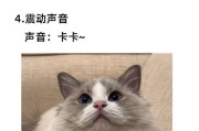 解读猫咪的六种叫声（探秘猫咪叫声的意义与表达方式，揭示猫咪心情和需求）