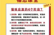 猫咪休克后的恢复（探究猫咪休克后的康复过程及时间长短）