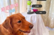 狗狗生完小狗后的洗澡时间——合理的洗澡时机与方法（照顾新生小狗的正确洗澡时间及注意事项）