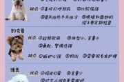 初次养狗，如何选择合适的狗狗品种？（挑选心仪的狗狗宠物，从这些关键因素出发）