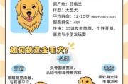 金毛的换毛周期及注意事项（金毛狗狗的换毛频率和护理技巧）