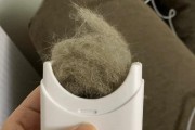 猫毛生长周期揭秘（探究猫毛生长周期，揭示拔毛长出的时间）