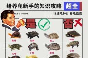 如何合理地给乌龟放水？（水量需求与乌龟品种的关系）