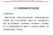狗癣（狗癣的症状、治疗方法及预防措施）