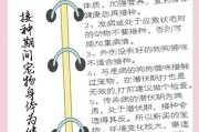 狗狗打疫苗的重要性（了解疫苗时间表，宠物健康更有保障）