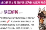 金毛犬所需钙片摄入频率与注意事项（金毛犬的钙片摄入与健康成长）
