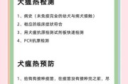 犬瘟的潜伏期（犬瘟潜伏期有多长？了解关键信息是预防的第一步）