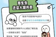 如何判断狗狗是否患有螨虫感染？（夏季驱虫攻略，保护宠物免受螨虫困扰）