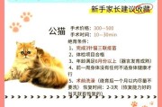 母猫绝育手术的最佳时机（了解母猫绝育的关键信息，保障它的健康与幸福）