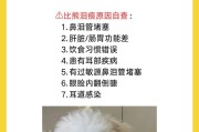 探秘狗狗泪痕之谜（揭开为什么吃奶的狗狗会有泪痕的真相）