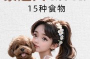 泰迪犬饮食清单（了解泰迪犬能吃和不能吃的食物，让你的宠物保持健康快乐）