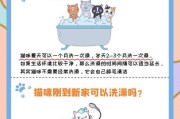 猫咪生完孩子后何时可以洗澡？（猫咪产后恢复期间的洗澡注意事项）