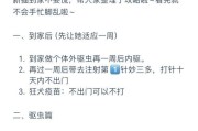 猫咪体外驱虫（了解猫咪体外驱虫周期和方法，保护猫咪健康）