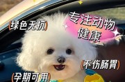 狗狗除虫后多久拉虫的相关知识（狗狗除虫后需要注意的事项及处理方法）