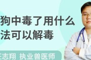 狗儿在盐水中的时间究竟该控制在多久？（狗儿盐水浸泡的时间对健康的影响及科学指引）