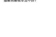 狗长猫癣的症状及治疗方法（猫癣对狗的影响及预防措施）