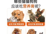 狗狗营养膏（为你的爱犬提供全面均衡的营养保障）
