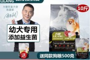 泰迪小狗月龄饲养指南（探索泰迪小狗每月的药物需求及关键营养）