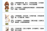 狗狗美容（探索狗狗美容的最佳时间间隔及注意事项）