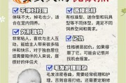 训练泰迪犬的注意事项（掌握泰迪犬智商与儿童年龄相对应的关系）