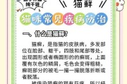 轻松除猫癣，四步骤帮助你解决猫咪猫癣问题（了解猫癣的原因和有效治疗方法，让你的猫咪恢复健康）