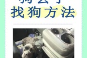 狗狗流眼泪的原因及应对方法（揭开狗狗流眼泪的谜团，了解如何保护它们的眼睛健康）