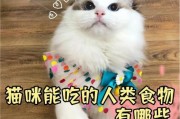 猫咪的消化时间（揭开猫咪的拉屎神秘，了解消化时间及其影响因素）