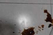 狗犬拉肚子和呕吐的原因及预防措施（了解狗犬拉肚子和呕吐的原因，提前预防，保护宠物健康）