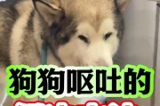 狗狗呕吐，不容忽视的信号（了解狗狗呕吐的表现及严重性，保护它们的健康）