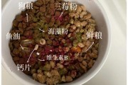 预防和缓解拉布拉多炎症的水果饮食（以什么水果为主可以帮助减轻拉布拉多炎症？）