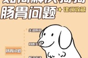 改善狗狗肠胃问题的饮食建议（为您的爱犬选择适合的食物，让它重获健康）