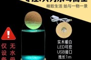 鱼缸中的理想宠物选择（一探鱼缸中适合养的宠物种类和护理要点）