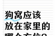 如何选择适合狗狗的狗窝？（给狗狗一个舒适安睡的港湾）