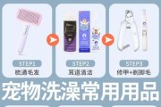 如何选择适合英短蓝猫的沐浴液？（关键因素与正确用法，让你的宠物更健康）