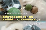 猫薄荷之谜（揭秘猫薄荷的神奇魅力及其对人类的影响）
