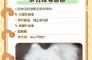 小狗换毛周期及护理方法（了解小狗换毛周期，科学护理让它更健康）
