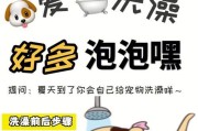 狗狗洗澡的最佳时间是什么时候？（科学指导您如何为您的狗狗选择最佳洗澡时间）