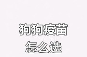 狗狗驱虫与疫苗接种的时机（保护你的爱宠）