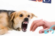 了解狂犬病（狂犬病的症状及相关知识，帮助您保护自己和您的宠物）