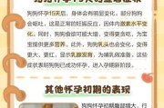 大狗的妊娠期长短及分娩过程（了解大狗妊娠期的关键时间节点和分娩过程）