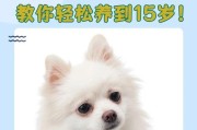 博美犬繁殖周期及间隔时间研究（揭秘博美犬繁殖间隔时间的关键因素和影响因素）