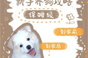狗狗初到家需要注意的重要事项（帮助新主人顺利接纳狗狗成为家庭一员）