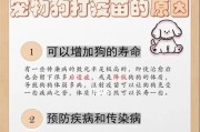 狗狗打疫苗的最佳间隔时间（了解疫苗接种时间表，让你的宠物健康无忧）