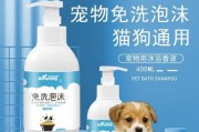 金毛狗狗洗澡的最佳频率和注意事项（多久可以洗澡？如何正确给金毛狗狗洗澡？）