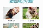 狗狗拉肚子2天了怎么办？快速缓解肠胃不适的方法（药物治疗与食物调理，让宠物重获健康）