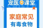 致命食物，千万别给巴哥犬吃！（了解巴哥犬的禁忌，保护它们的健康）
