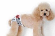 泰迪犬的首次月经（关于泰迪第一次月经的时间、注意事项和护理方法）