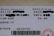 如何办理狗证？养犬需办证带上这四样（办理狗证的流程及所需材料一览）